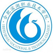 民办合肥滨湖职业技术学院毕业证样本图片