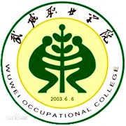 武威职业学院毕业证怎样找(样本)绝对靠谱