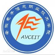 安徽电子信息职业技术学院(毕业证)照片哪有不错果然好用