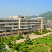 大连工业大学职业技术学院|毕业证|2019年样本(模板)