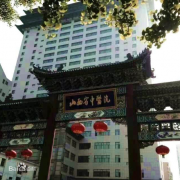 山西省中医药研究院毕业证样本uip